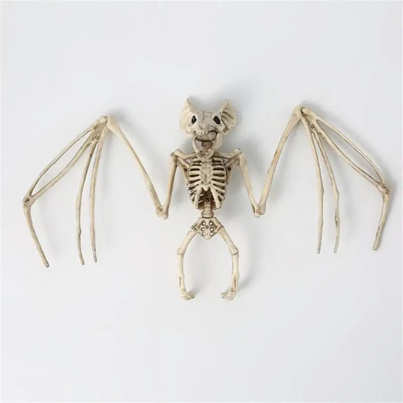 Bat skeleton model on a white background